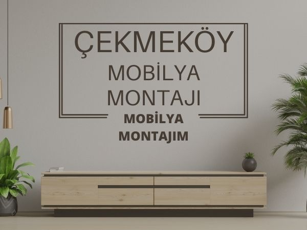 çekmeköy mobilya montajı