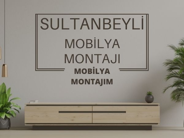 sultanbeyli mobilya montajı