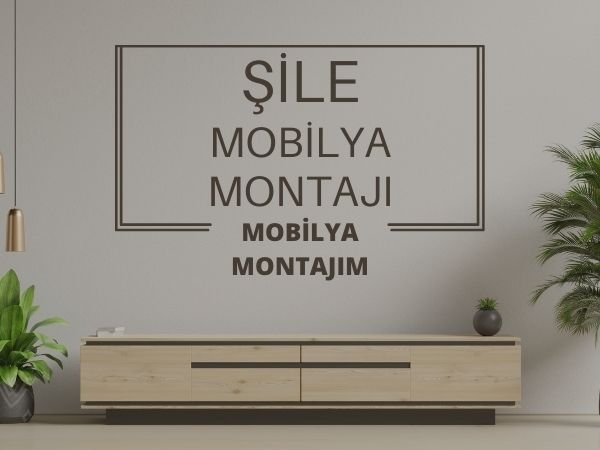 şile mobilya montajı